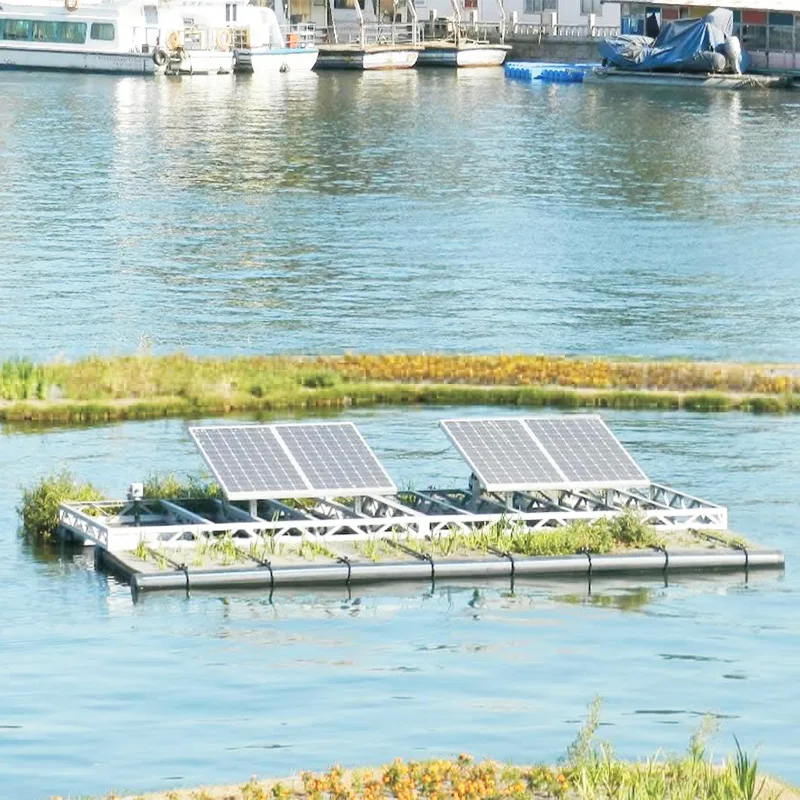 Өзенді басқару жобасы